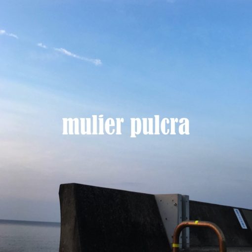 【mulier pulcra】元人気ハーフタレント・ファッションモデルL（28歳/169cm）【完全オリジナル作品】_cover